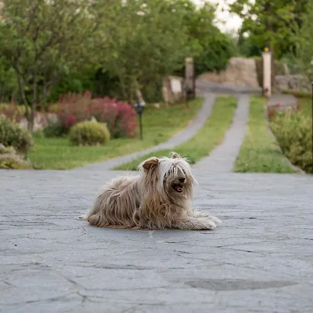 아파트 Apartma Oddih *