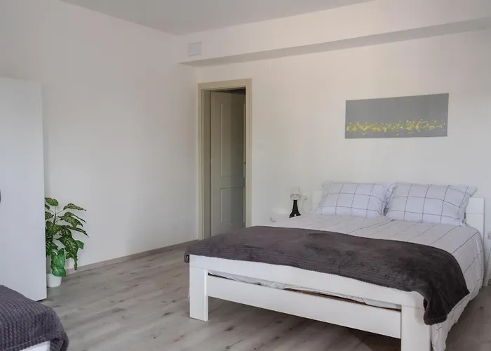 Apartma Oddih * Dutovlje